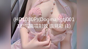 (HD1080P)(Dogma)(gtj00118)浣腸噴射奴 塩見彩 (1)