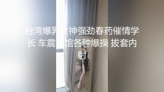 台湾爆乳女神强劲春药催情学长 车震宾馆各种爆操 拔套内射