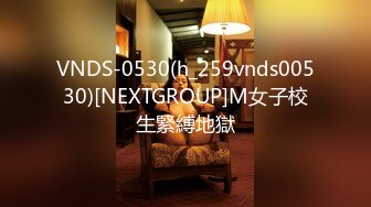 VNDS-0530(h_259vnds00530)[NEXTGROUP]M女子校生緊縛地獄