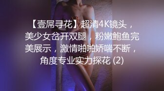 【壹屌寻花】超清4K镜头，美少女岔开双腿，粉嫩鲍鱼完美展示，激情啪啪娇喘不断，角度专业实力探花 (2)