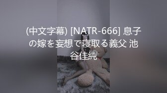 (中文字幕) [NATR-666] 息子の嫁を妄想で寝取る義父 池谷佳純