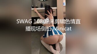 SWAG 1080P未剪辑色情直播现场侧拍 Minicat