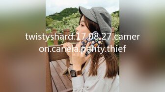 twistyshard.17.08.27.cameron.canela.panty.thief