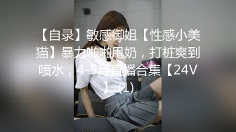 【自录】敏感御姐【性感小美猫】暴力啪啪甩奶，打桩爽到喷水，4-5月直播合集【24V】 (1)