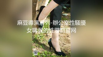 麻豆導演系列-辦公室性騷擾女職員的性懲罰官网