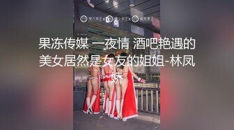 果冻传媒 一夜情 酒吧艳遇的美女居然是女友的姐姐-林凤娇